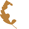 LWG-Leather Working Group certification